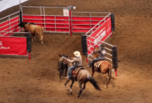 What are the strategies used in team penning?