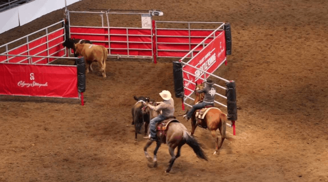 What are the strategies used in team penning?