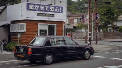 global license plate diversity