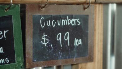 rizopacho food cost analysis