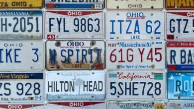 significance of state license