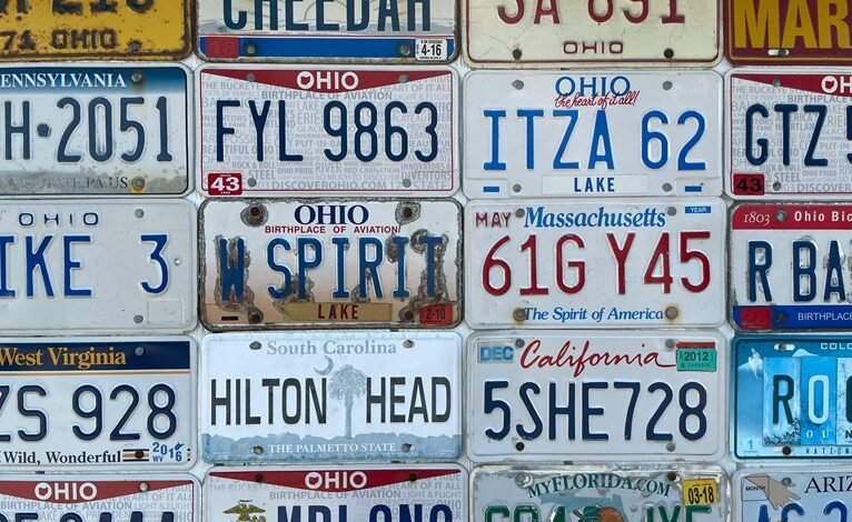 significance of state license
