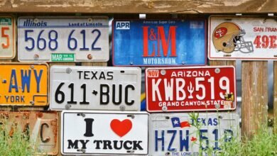 vehicle registration plate information