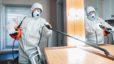 Bird Control Services Near Me Expert Solutions for Effective Pest Management