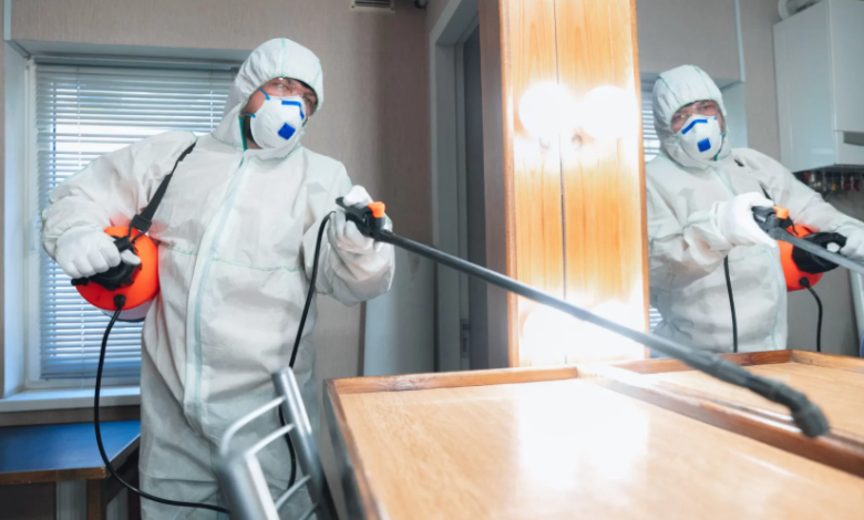 Bird Control Services Near Me Expert Solutions for Effective Pest Management