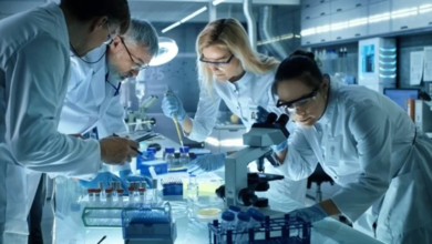 How Computational Models Are Redefining Early-Stage Drug Research