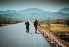 multi region identifier report summary