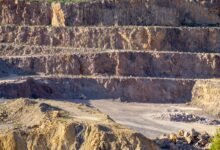 industry analysis and insights