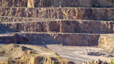 industry analysis and insights