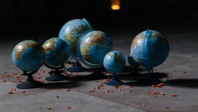 market analysis and comparison