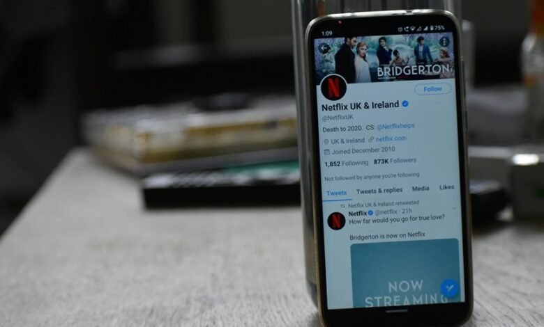 social media follower growth