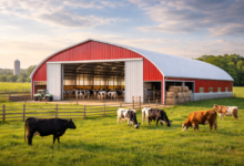 Modern Livestock Barns: A Smart Investment for Canadian Farmers