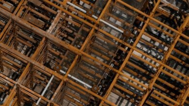 digital growth momentum framework