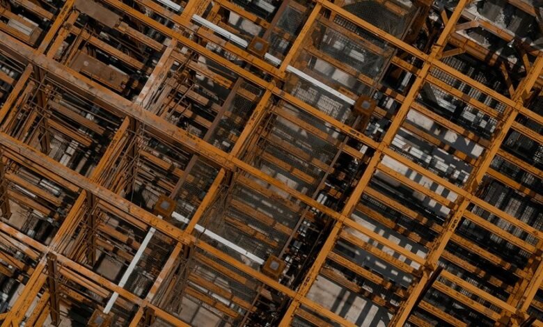 digital growth momentum framework