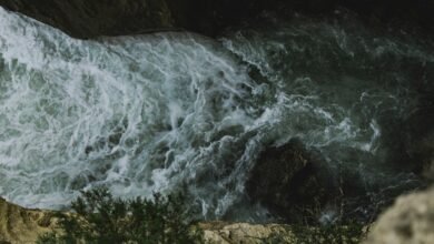 nova flow opportunity surge