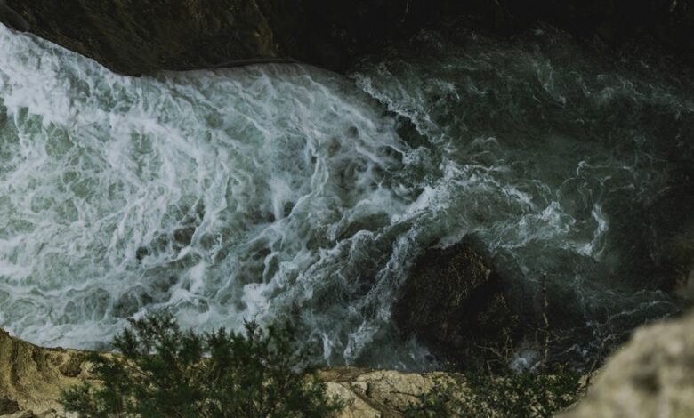 nova flow opportunity surge