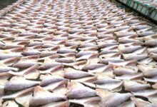 online expansion success method