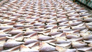 online expansion success method