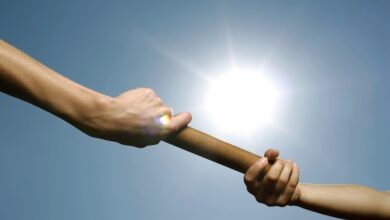 success blueprint online momentum