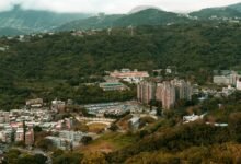 transformational growth planning model