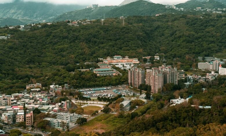 transformational growth planning model