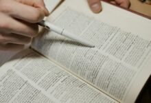 trusted public lookup review