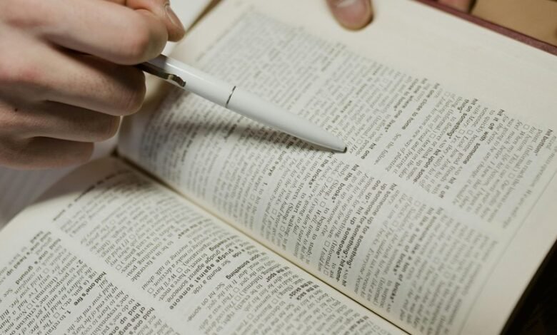 trusted public lookup review