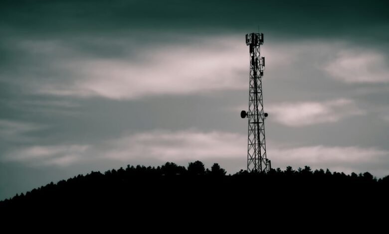 branding the signal horizon