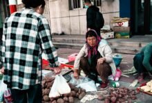 expand market 5417666200 beacon lens