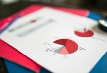 data verification report identifiers list