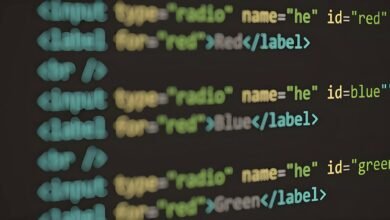 patterned data identifiers with version like codes