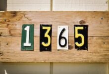 access registry lookup results for numbers