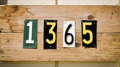 access registry lookup results for numbers