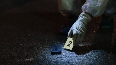 inspect these four numbers for lookup evidence