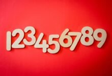list of phone numbers extracted