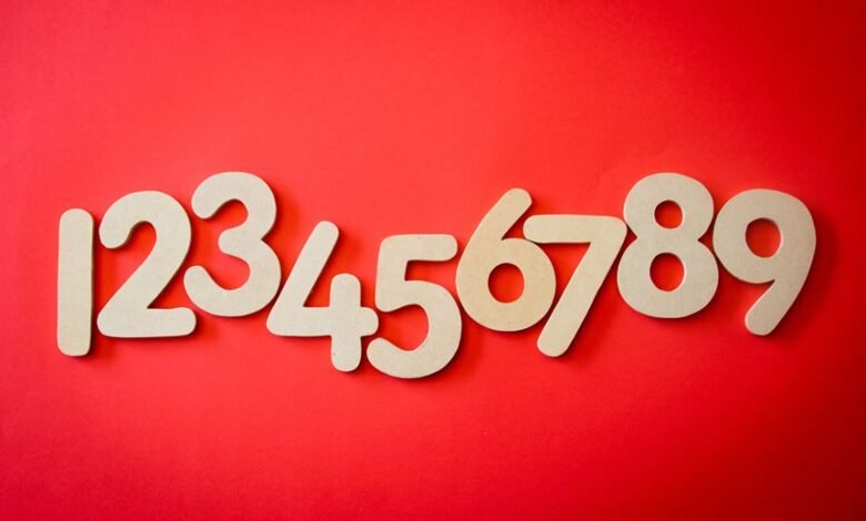 list of phone numbers extracted