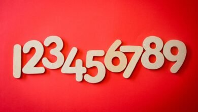 list of phone numbers included