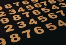 phone numbers for verification listed