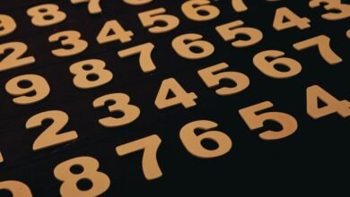 phone numbers for verification listed