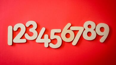 phone numbers list entries detected