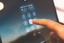 phone numbers list identified