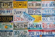 public registry ids inquiry detailed