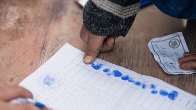 registry verification reports for five ids