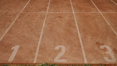 track numbers searched 3509706883 3279785774 3475695358 3669351562 3509469027