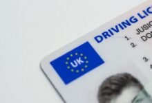 verified registry ids and details